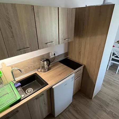 ホームステイ Przystan