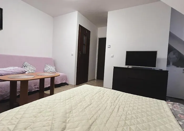 Przystan ホームステイ Białogóra