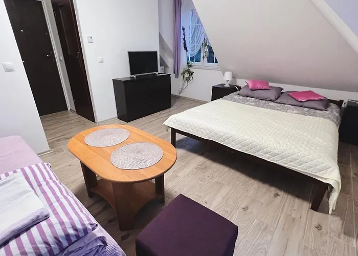 Przystan ホームステイ *